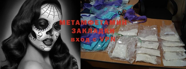 прущие грибы Волоколамск