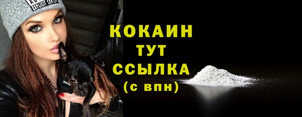 прущие грибы Волоколамск