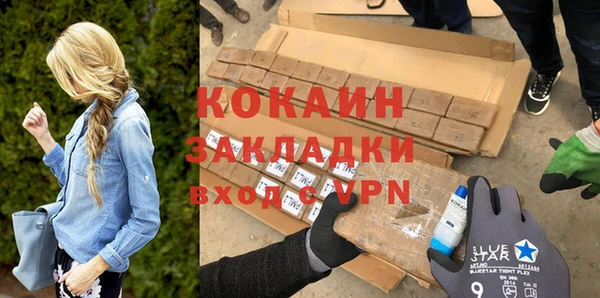 прущие грибы Волоколамск