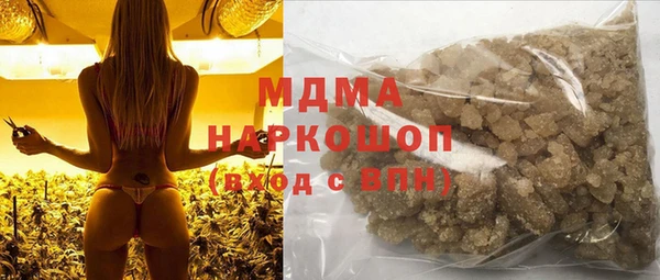 прущие грибы Волоколамск