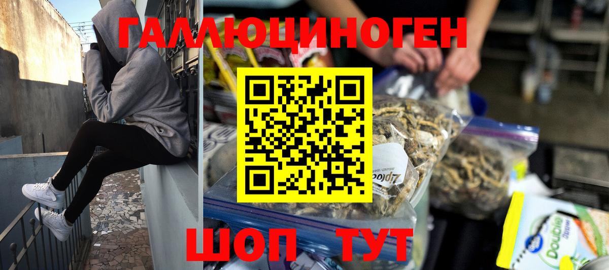 Псилоцибиновые грибы GOLDEN TEACHER Славянск-на-Кубани